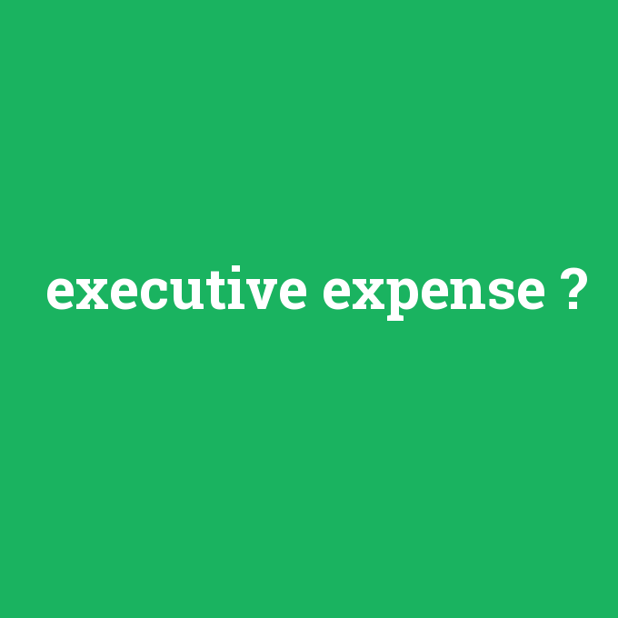 executive expense, executive expense nedir ,executive expense ne demek