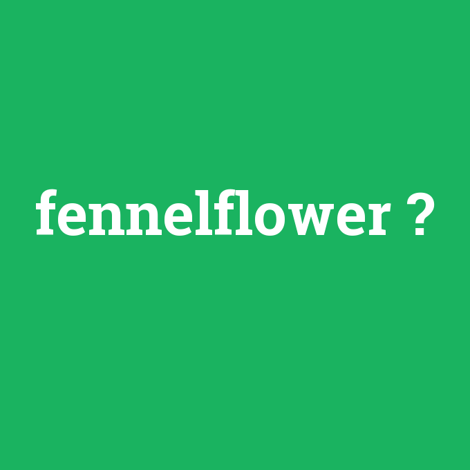 fennelflower, fennelflower nedir ,fennelflower ne demek