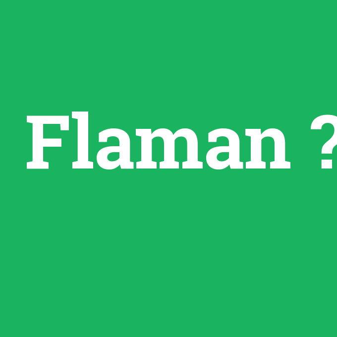 Flaman, Flaman nedir ,Flaman ne demek