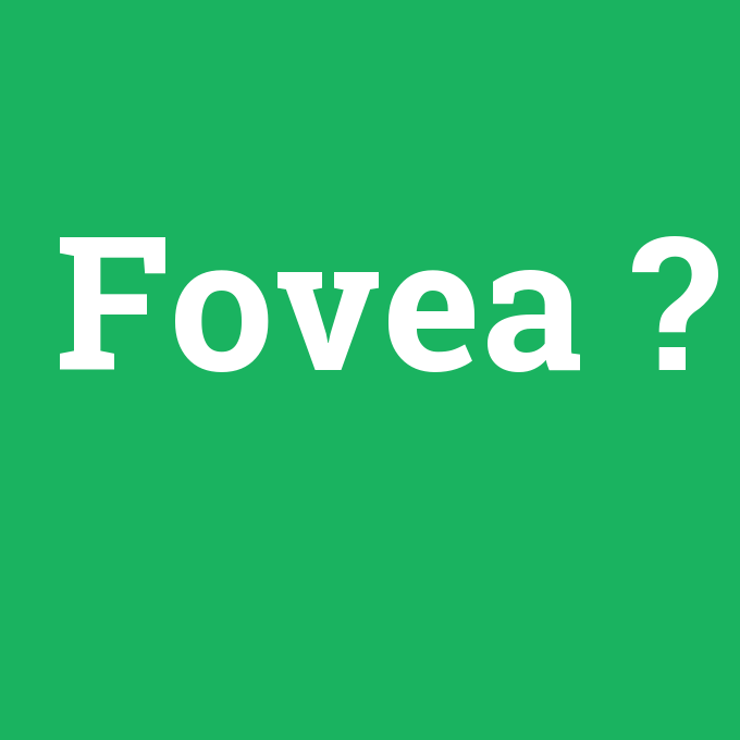 Fovea, Fovea nedir ,Fovea ne demek
