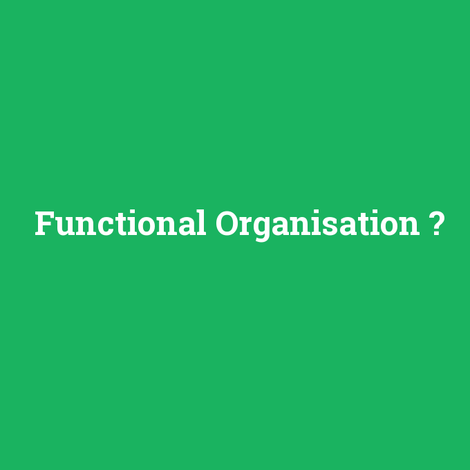 Functional Organisation, Functional Organisation nedir ,Functional Organisation ne demek
