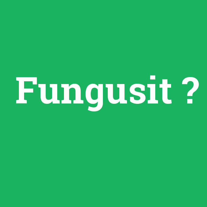 Fungusit, Fungusit nedir ,Fungusit ne demek