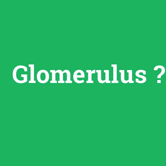 Glomerulus, Glomerulus nedir ,Glomerulus ne demek