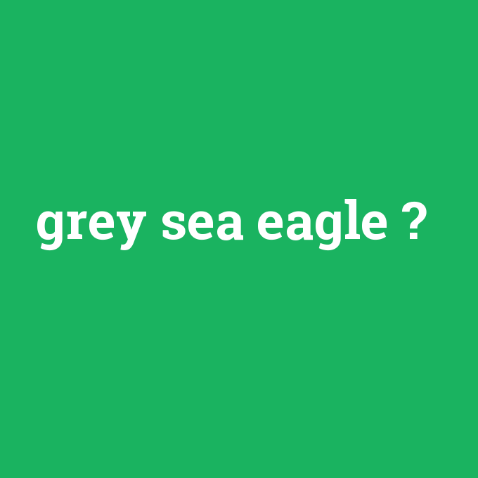 grey sea eagle, grey sea eagle nedir ,grey sea eagle ne demek