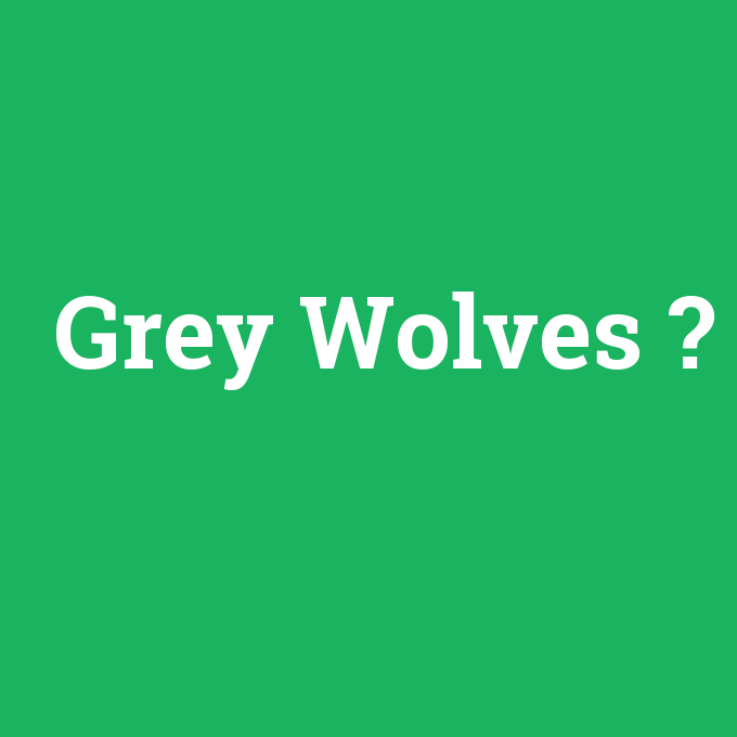 Grey Wolves, Grey Wolves nedir ,Grey Wolves ne demek