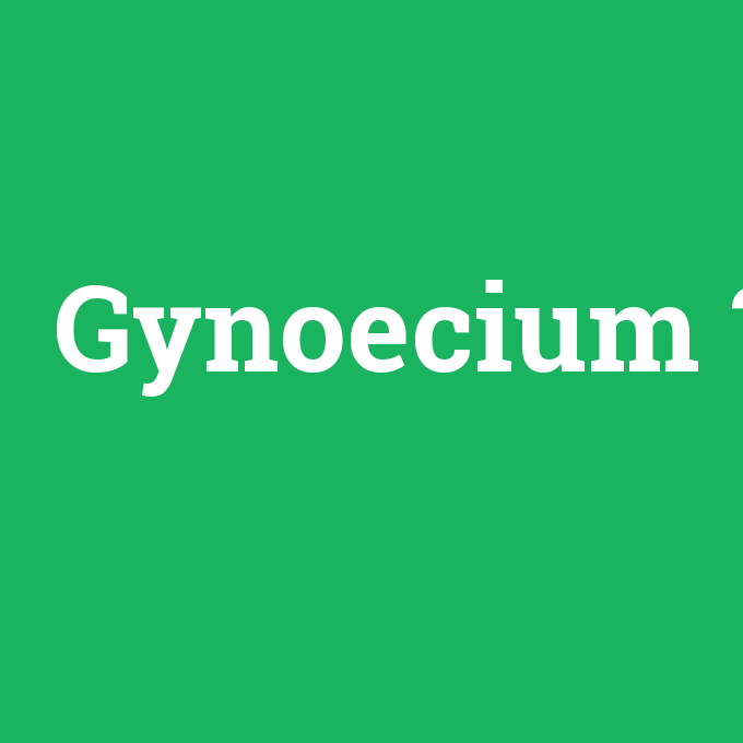 Gynoecium, Gynoecium nedir ,Gynoecium ne demek