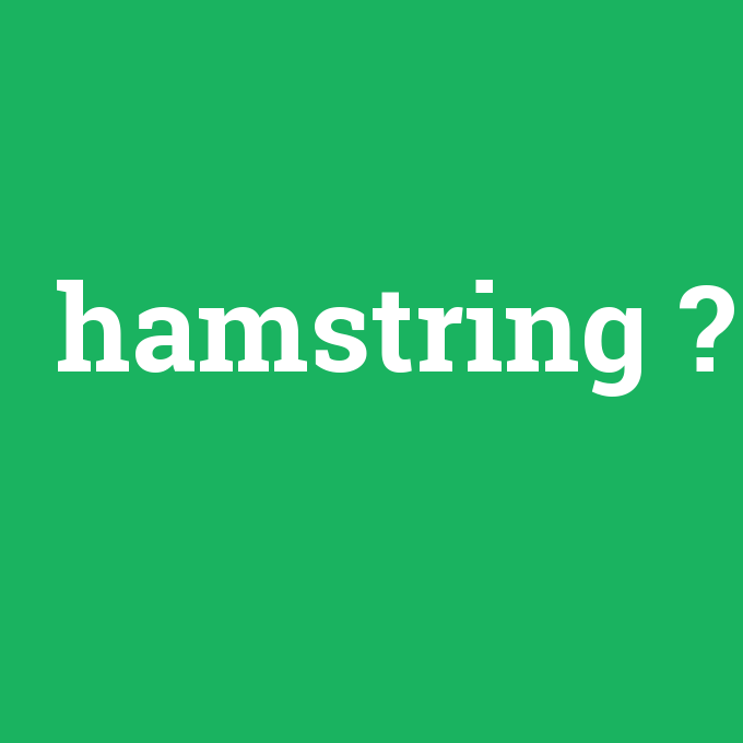 hamstring, hamstring nedir ,hamstring ne demek
