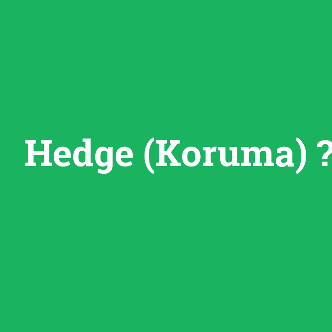 Hedge (Koruma), Hedge (Koruma) nedir ,Hedge (Koruma) ne demek