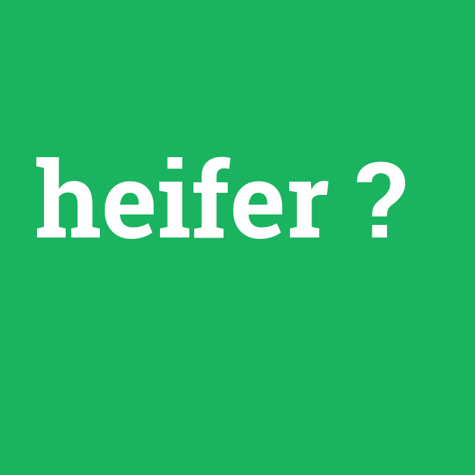 heifer, heifer nedir ,heifer ne demek