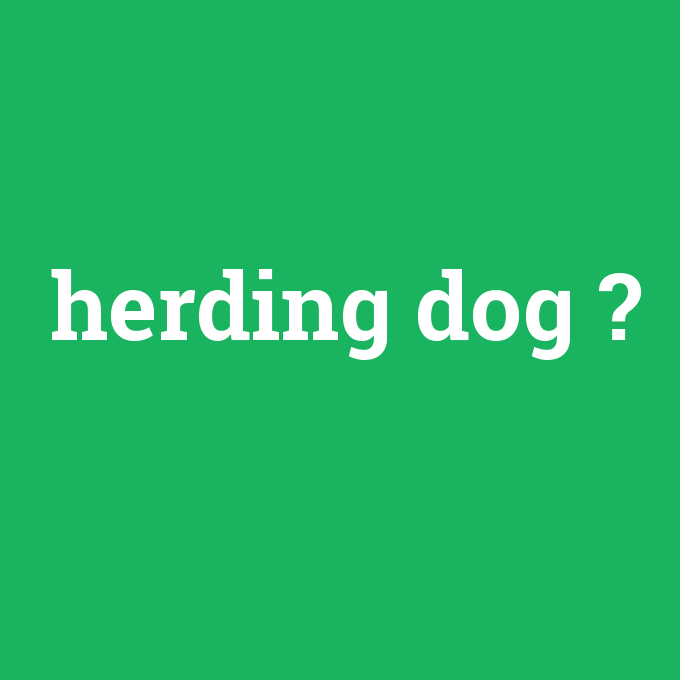 herding dog, herding dog nedir ,herding dog ne demek