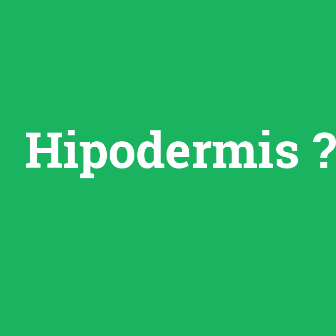 Hipodermis, Hipodermis nedir ,Hipodermis ne demek