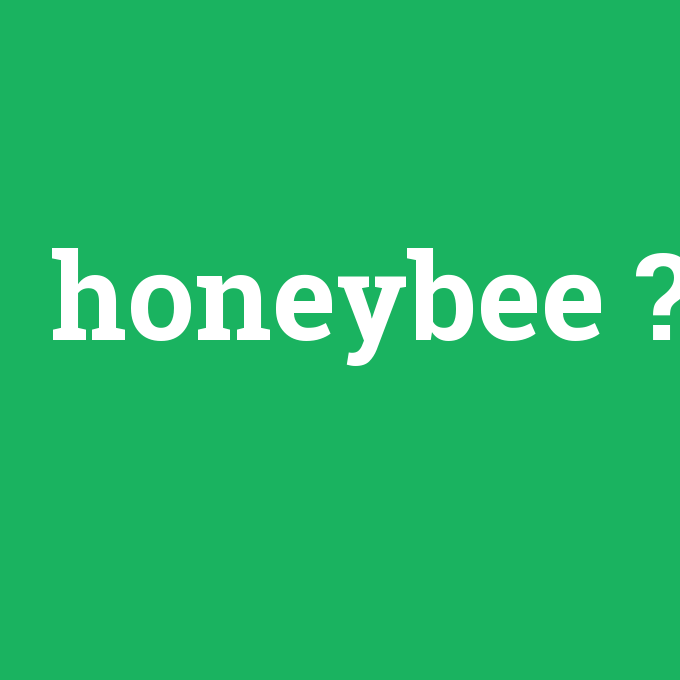 honeybee, honeybee nedir ,honeybee ne demek