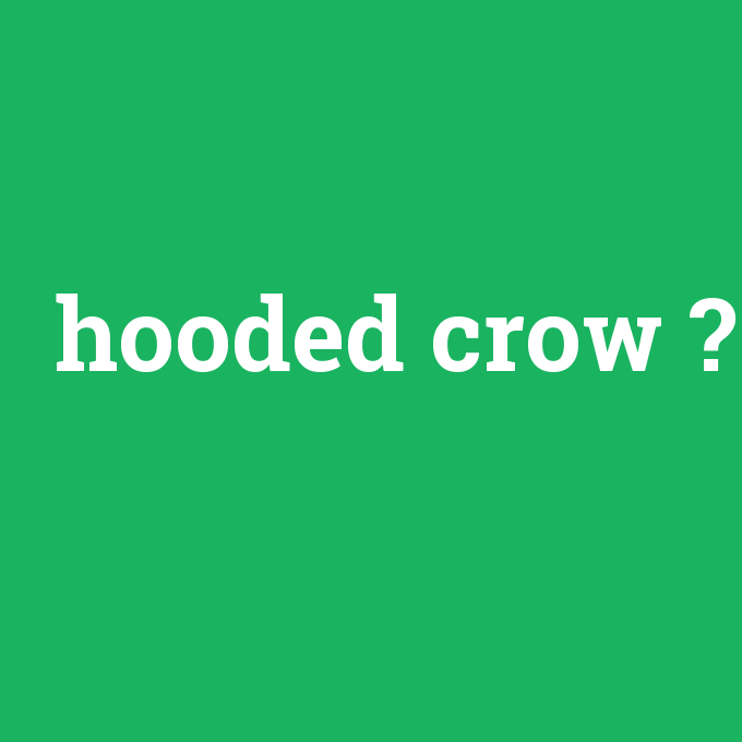 hooded crow, hooded crow nedir ,hooded crow ne demek