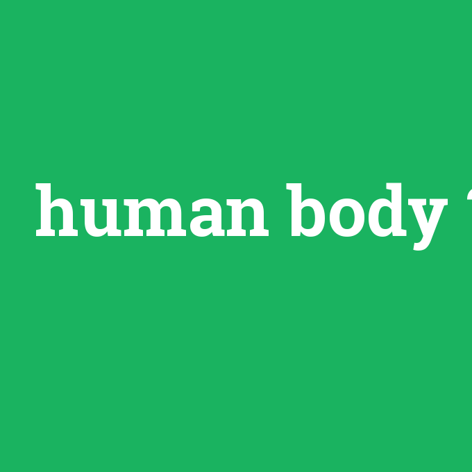 human body, human body nedir ,human body ne demek