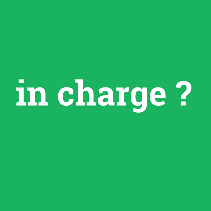 in charge, in charge nedir ,in charge ne demek