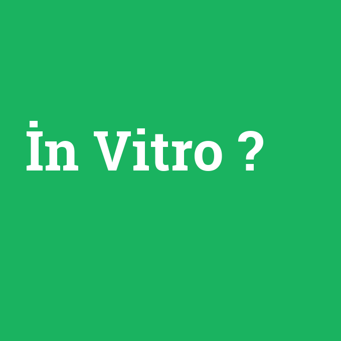 İn Vitro, İn Vitro nedir ,İn Vitro ne demek