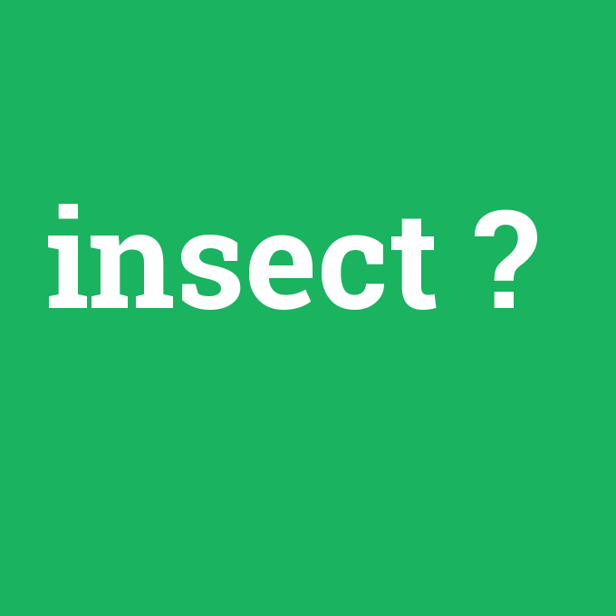 insect, insect nedir ,insect ne demek