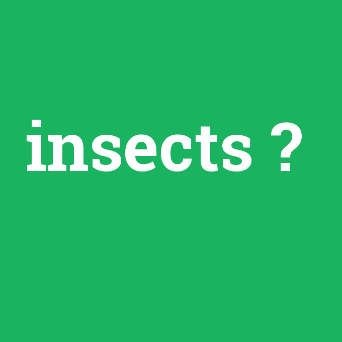 insects, insects nedir ,insects ne demek