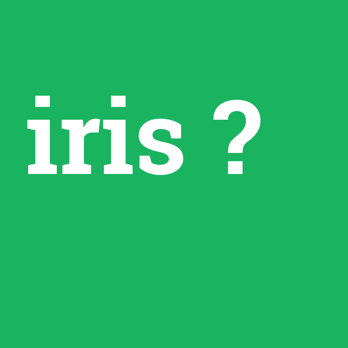 iris, iris nedir ,iris ne demek