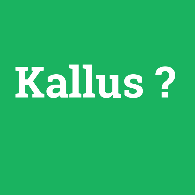 Kallus, Kallus nedir ,Kallus ne demek