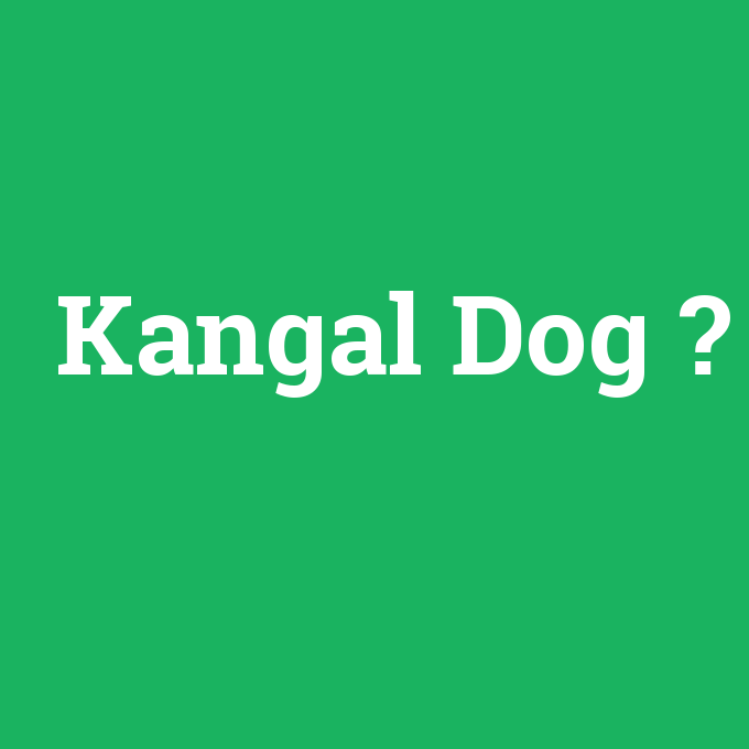 Kangal Dog, Kangal Dog nedir ,Kangal Dog ne demek