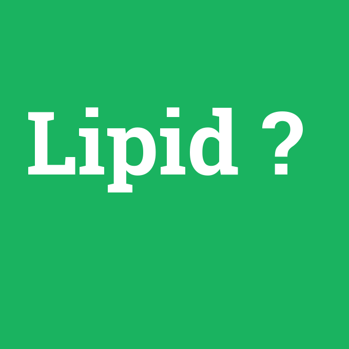 Lipid, Lipid nedir ,Lipid ne demek