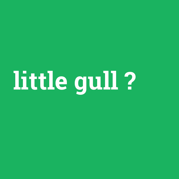 little gull, little gull nedir ,little gull ne demek
