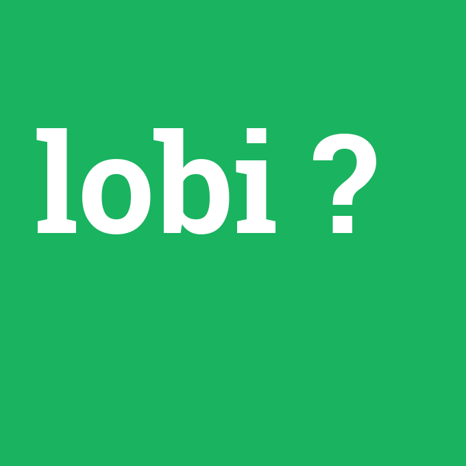 lobi, lobi nedir ,lobi ne demek