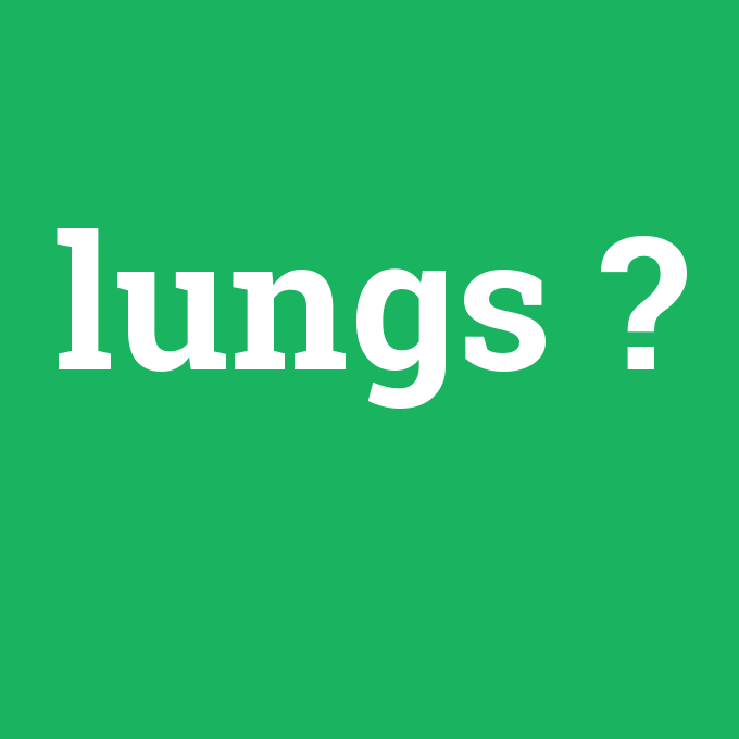 lungs, lungs nedir ,lungs ne demek