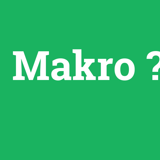 Makro, Makro nedir ,Makro ne demek