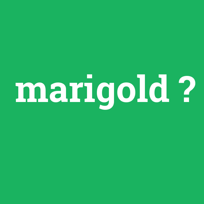 marigold, marigold nedir ,marigold ne demek