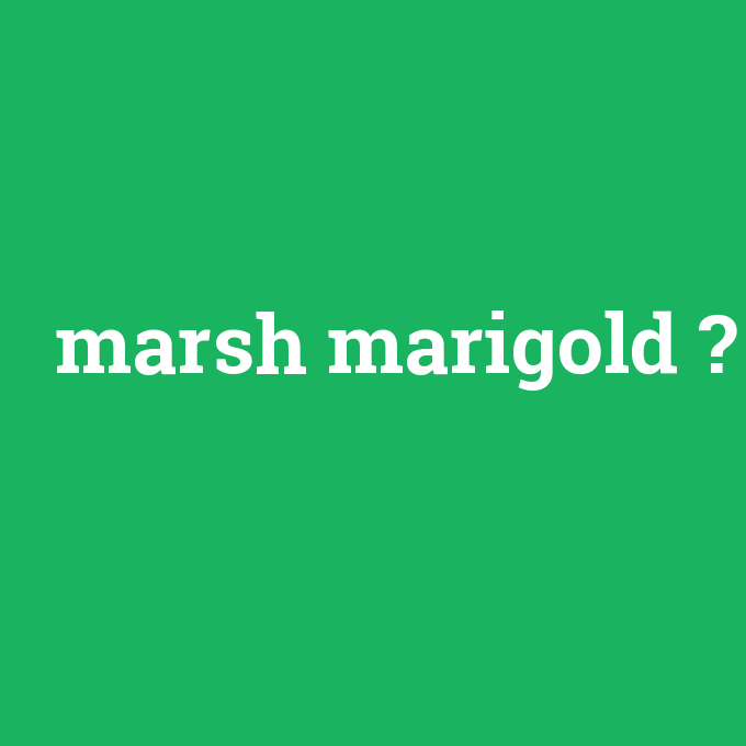 marsh marigold, marsh marigold nedir ,marsh marigold ne demek