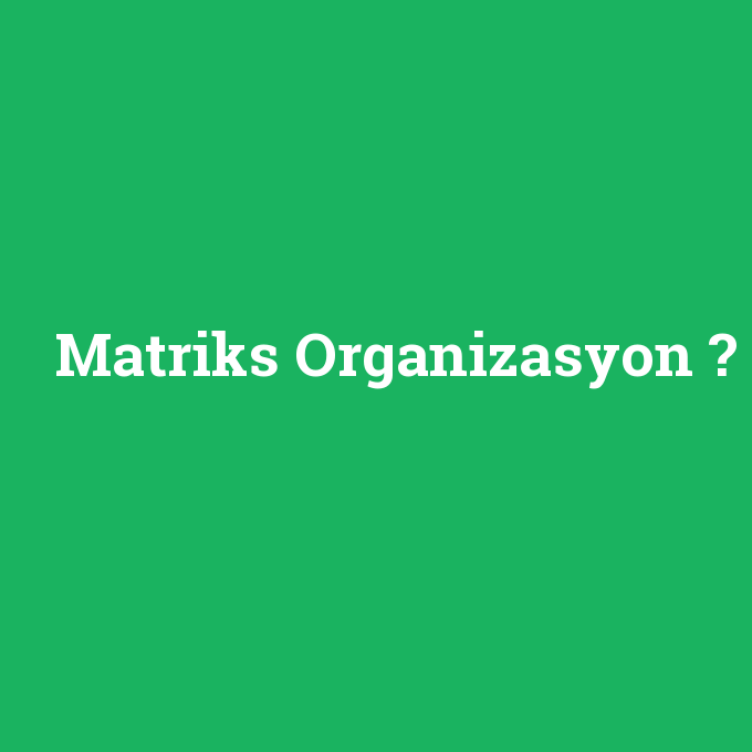 Matriks Organizasyon, Matriks Organizasyon nedir ,Matriks Organizasyon ne demek