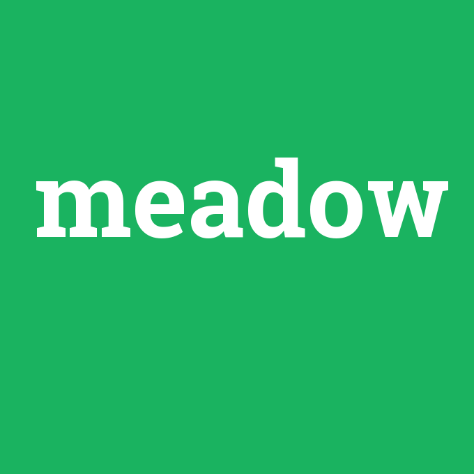 meadow, meadow nedir ,meadow ne demek