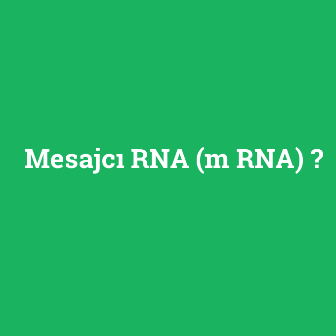 Mesajcı RNA (m RNA), Mesajcı RNA (m RNA) nedir ,Mesajcı RNA (m RNA) ne demek