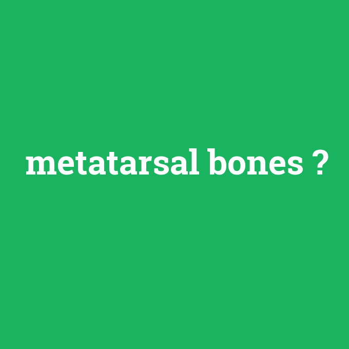 metatarsal bones, metatarsal bones nedir ,metatarsal bones ne demek