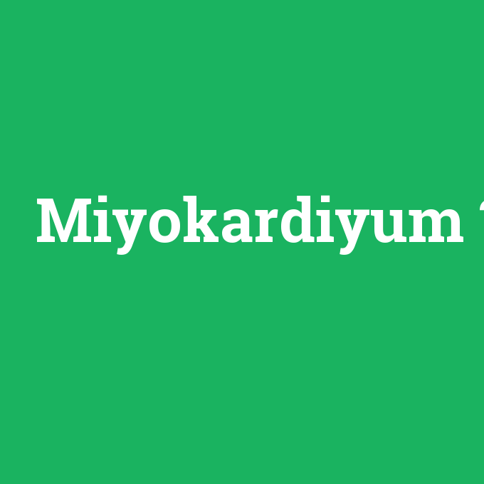 Miyokardiyum, Miyokardiyum nedir ,Miyokardiyum ne demek