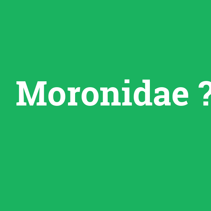 Moronidae, Moronidae nedir ,Moronidae ne demek