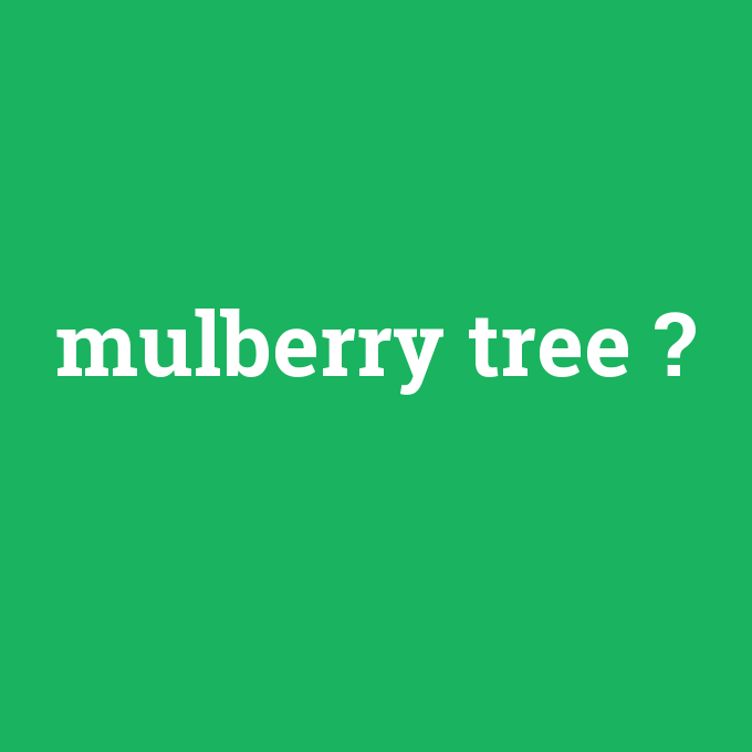 mulberry tree, mulberry tree nedir ,mulberry tree ne demek