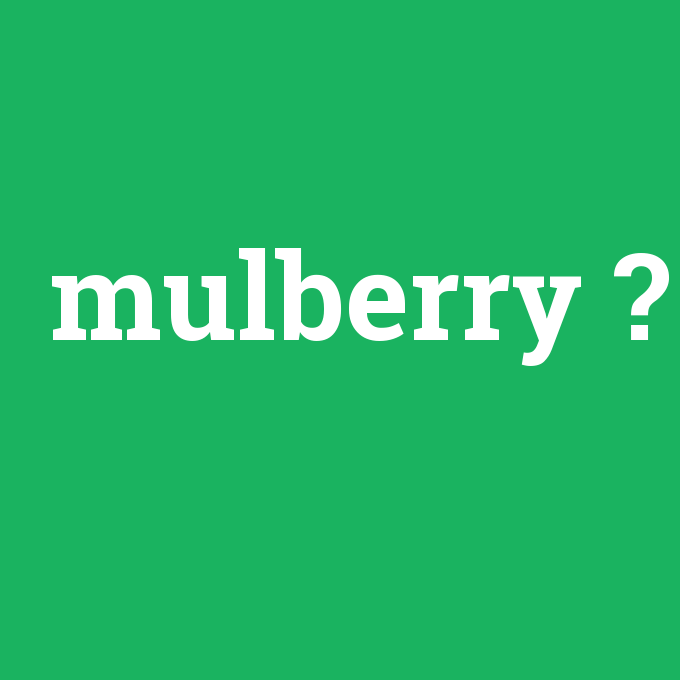 mulberry, mulberry nedir ,mulberry ne demek