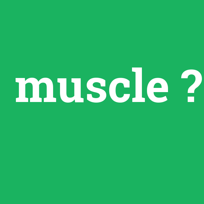 muscle, muscle nedir ,muscle ne demek