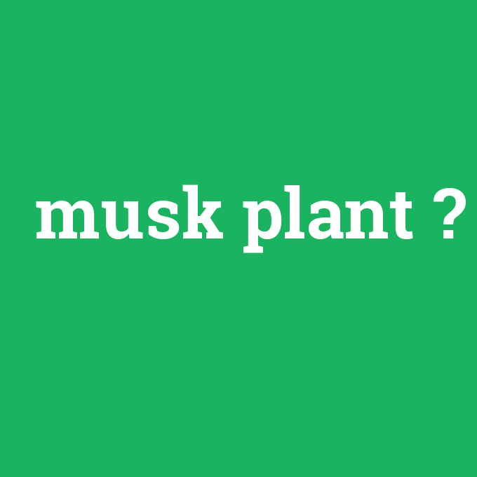musk plant, musk plant nedir ,musk plant ne demek
