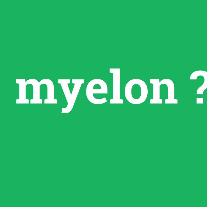 myelon, myelon nedir ,myelon ne demek