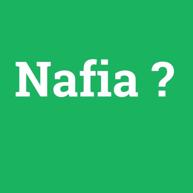 Nafia, Nafia nedir ,Nafia ne demek