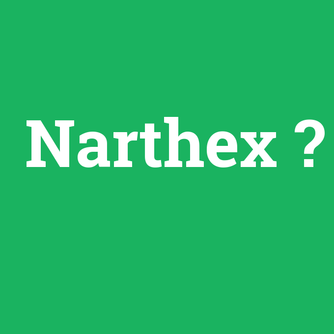Narthex, Narthex nedir ,Narthex ne demek