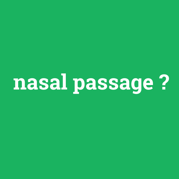 nasal passage, nasal passage nedir ,nasal passage ne demek