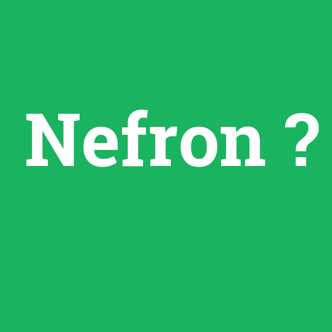 Nefron, Nefron nedir ,Nefron ne demek