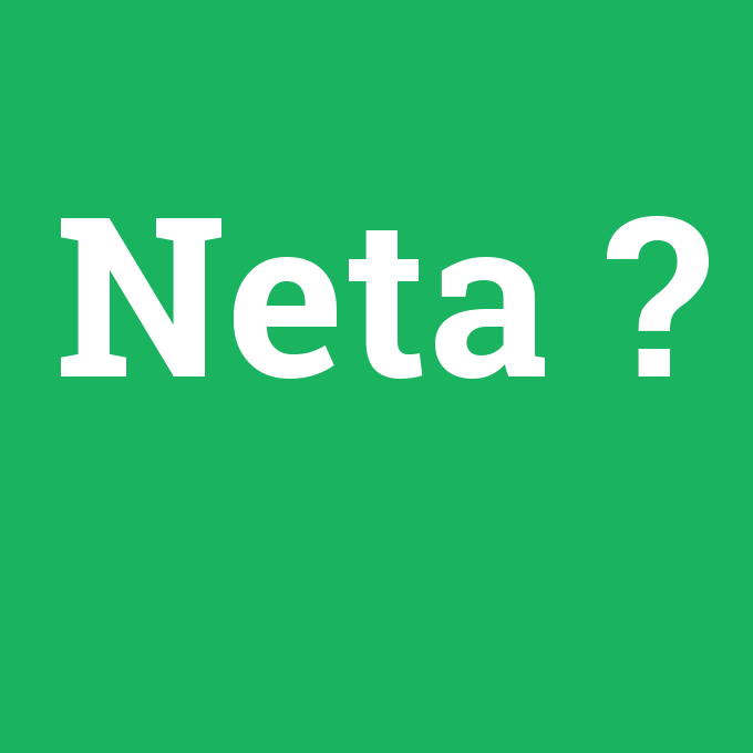 Neta, Neta nedir ,Neta ne demek