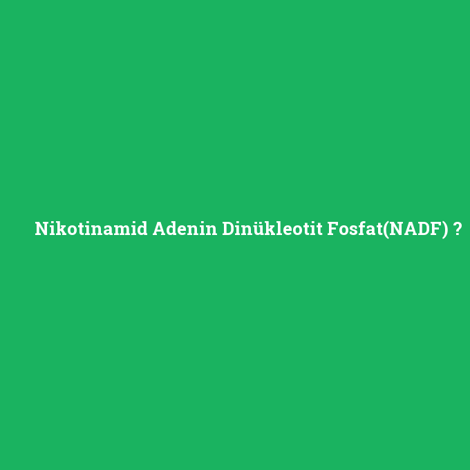 Nikotinamid Adenin Dinükleotit Fosfat(NADF), Nikotinamid Adenin Dinükleotit Fosfat(NADF) nedir ,Nikotinamid Adenin Dinükleotit Fosfat(NADF) ne demek