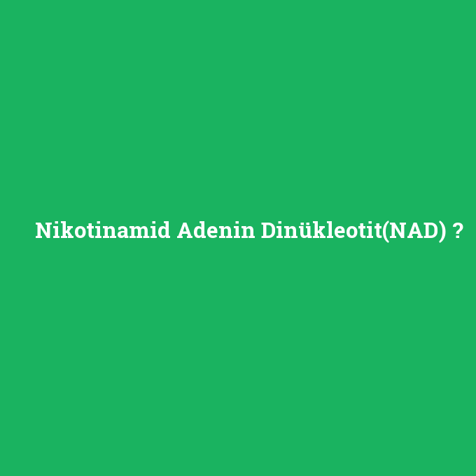 Nikotinamid Adenin Dinükleotit(NAD), Nikotinamid Adenin Dinükleotit(NAD) nedir ,Nikotinamid Adenin Dinükleotit(NAD) ne demek